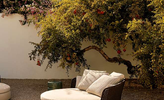 SOORI DAY LOUNGE
