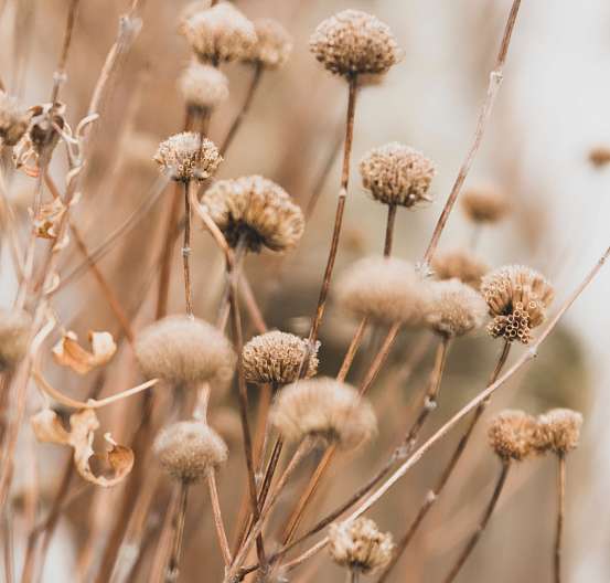 ORLANDO | ROCCA | ALURO