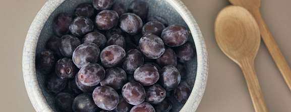 CLASSIC-FS | SYNTHIA