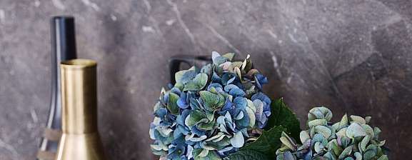 BOSSA-E | BOSSA | KERA-E