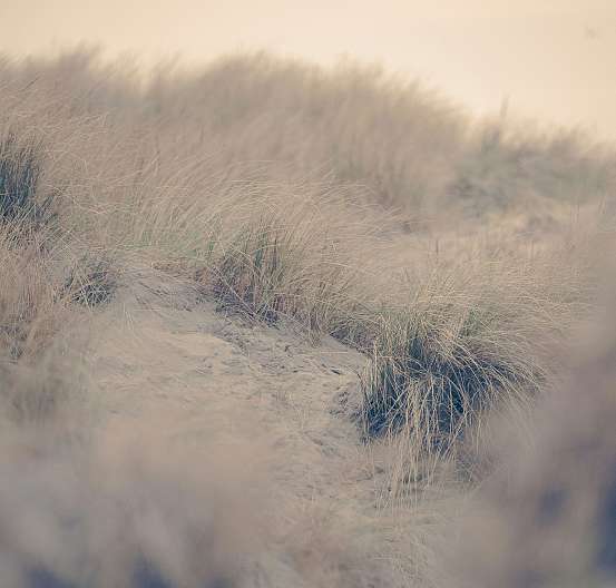 CLASSIC-FS - CURVED SIDE PANELS