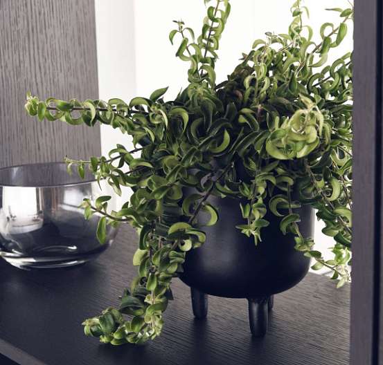 CLASSIC-FS-C | TOPOS